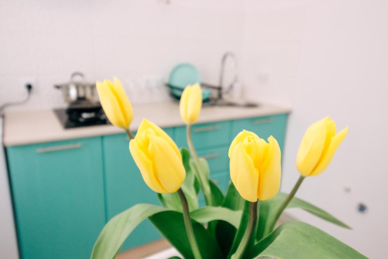 Apartament Квартира Біля Центральної Площі Перспективна 22 Oleksandriia Zewnętrze zdjęcie